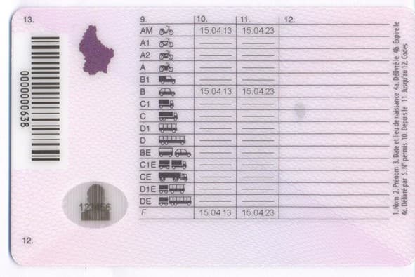 Luxembourg Driving Licence