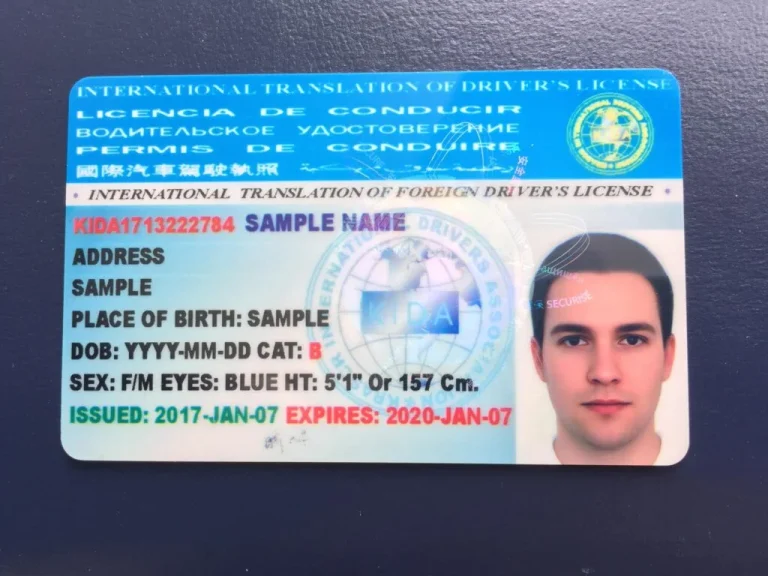 International-Drivers-license-1024x768
