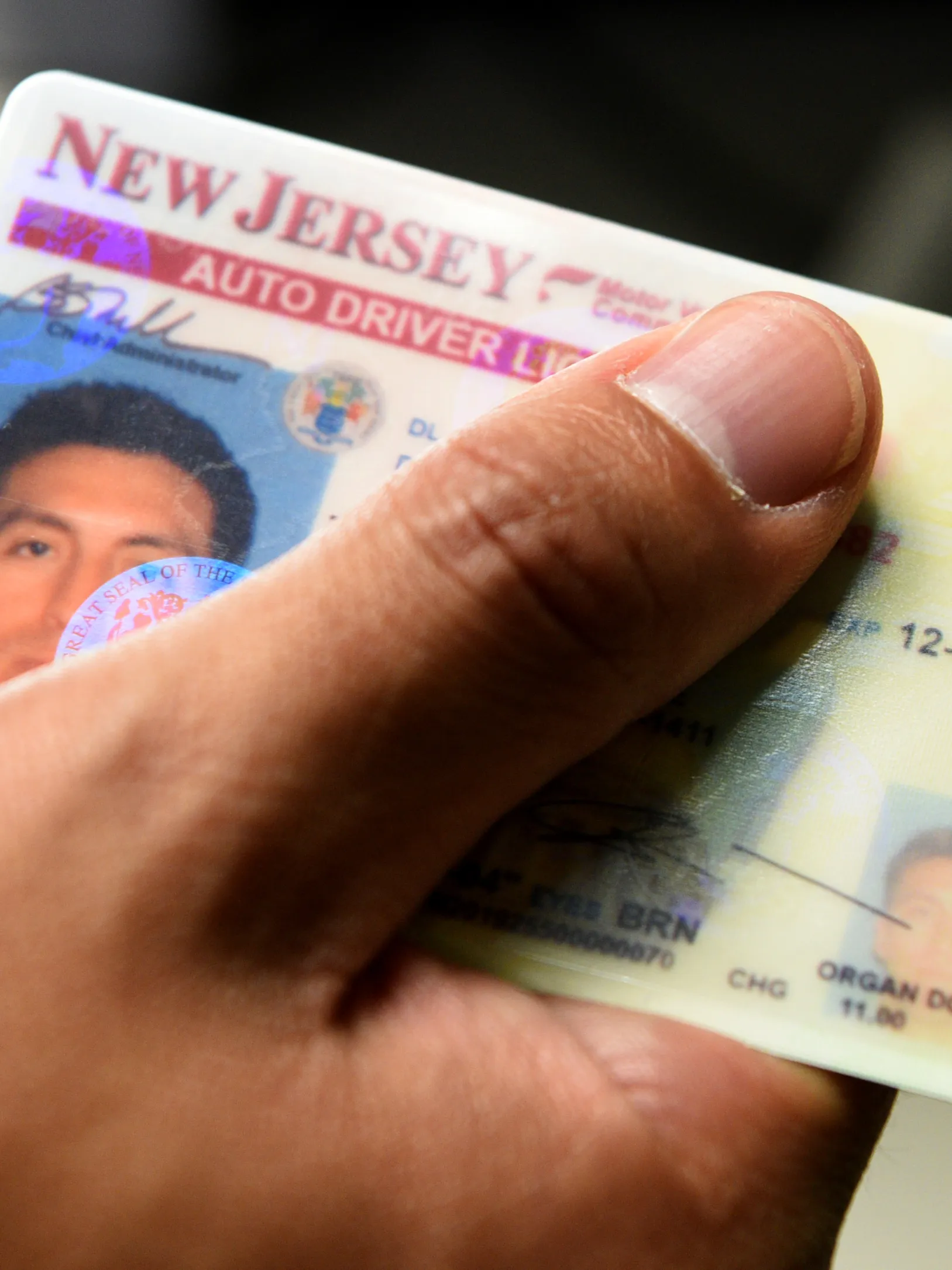 Buy New Jersey Drivers License