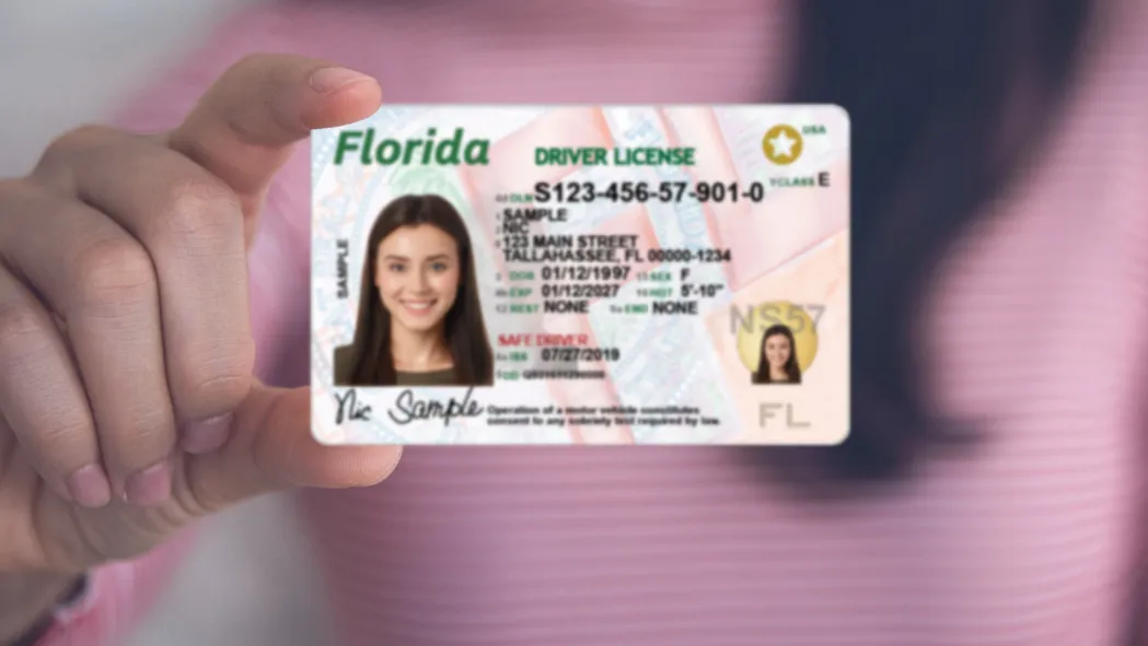 Buy Florida Driver’s License