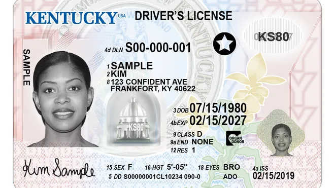 Buy Kentucky Drivers License