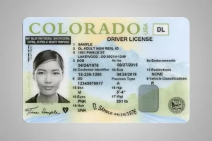 Buy Colorado Driver License