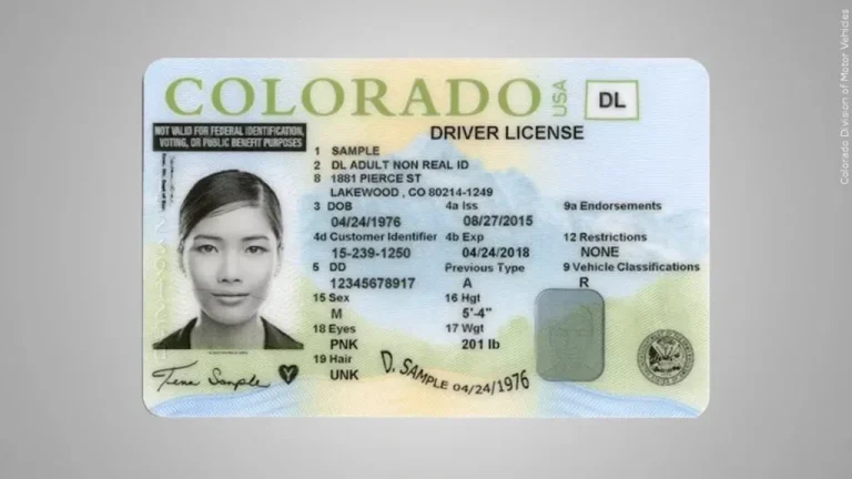 Buy Colorado Driver License