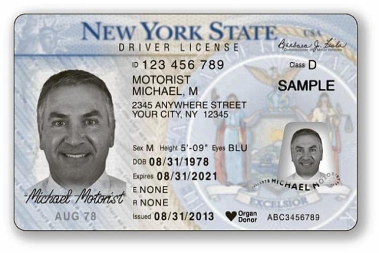 Buy Real New York Drivers License
