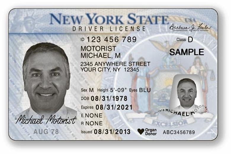 Buy Real New York Drivers License