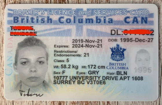 Buy British Columbia drivers license​