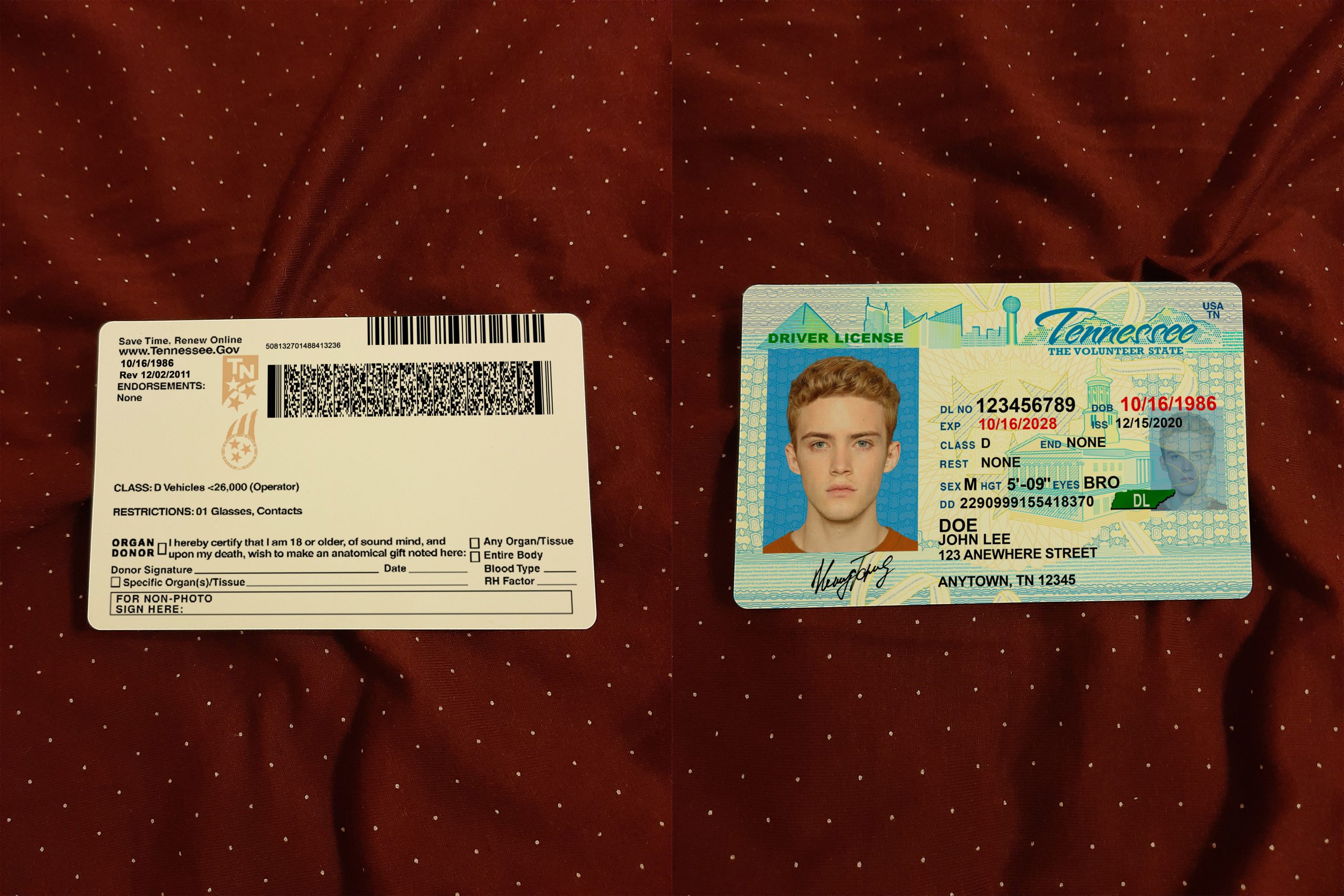 Buy Tennessee Driver’s License