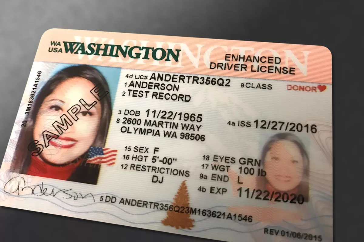 buy Washington DC Drivers License