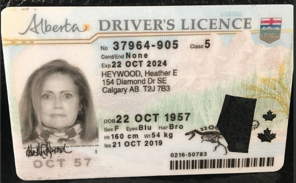 Buy Alberta Drivers License