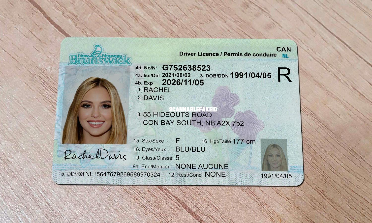 Buy New Brunswick Driver License