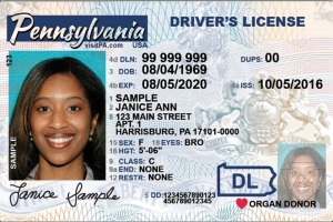 Buy Pennsylvania Driver’s License