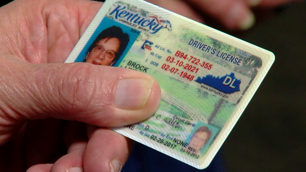Buy Kentucky Driver License