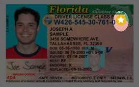 Buy Florida Driver’s License
