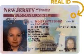 Buy New Jersey Drivers License