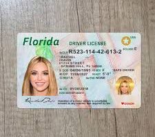 Buy Florida Drivers license