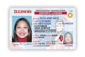 Buy Illinois Drivers License