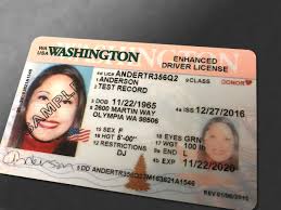 buy Washington DC Drivers License