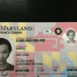 Buy Real Maryland Drivers license