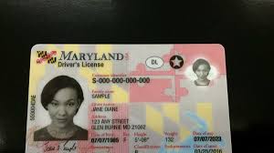 Buy Real Maryland Drivers license