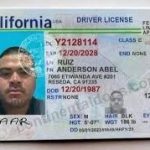 Buy California Drivers license
