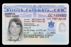 Buy British Columbia drivers license