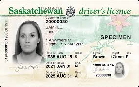 Buy Saskatchewan drivers license
