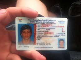 Buy Newfoundland and Labrador Driver License
