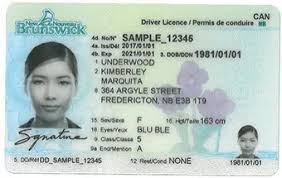 Buy New Brunswick Driver License