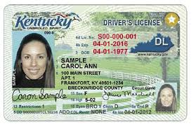 Buy Kentucky Driver License