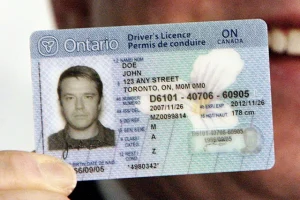 Buy Ontario Driver License