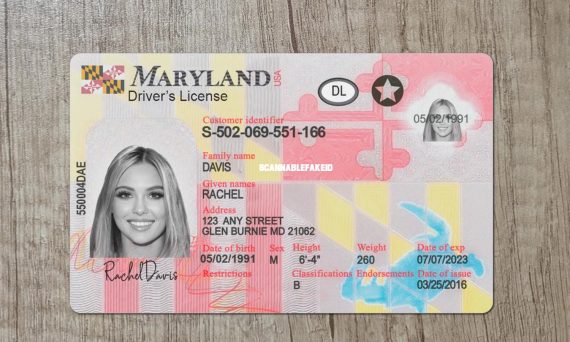 Buy Maryland Drivers license