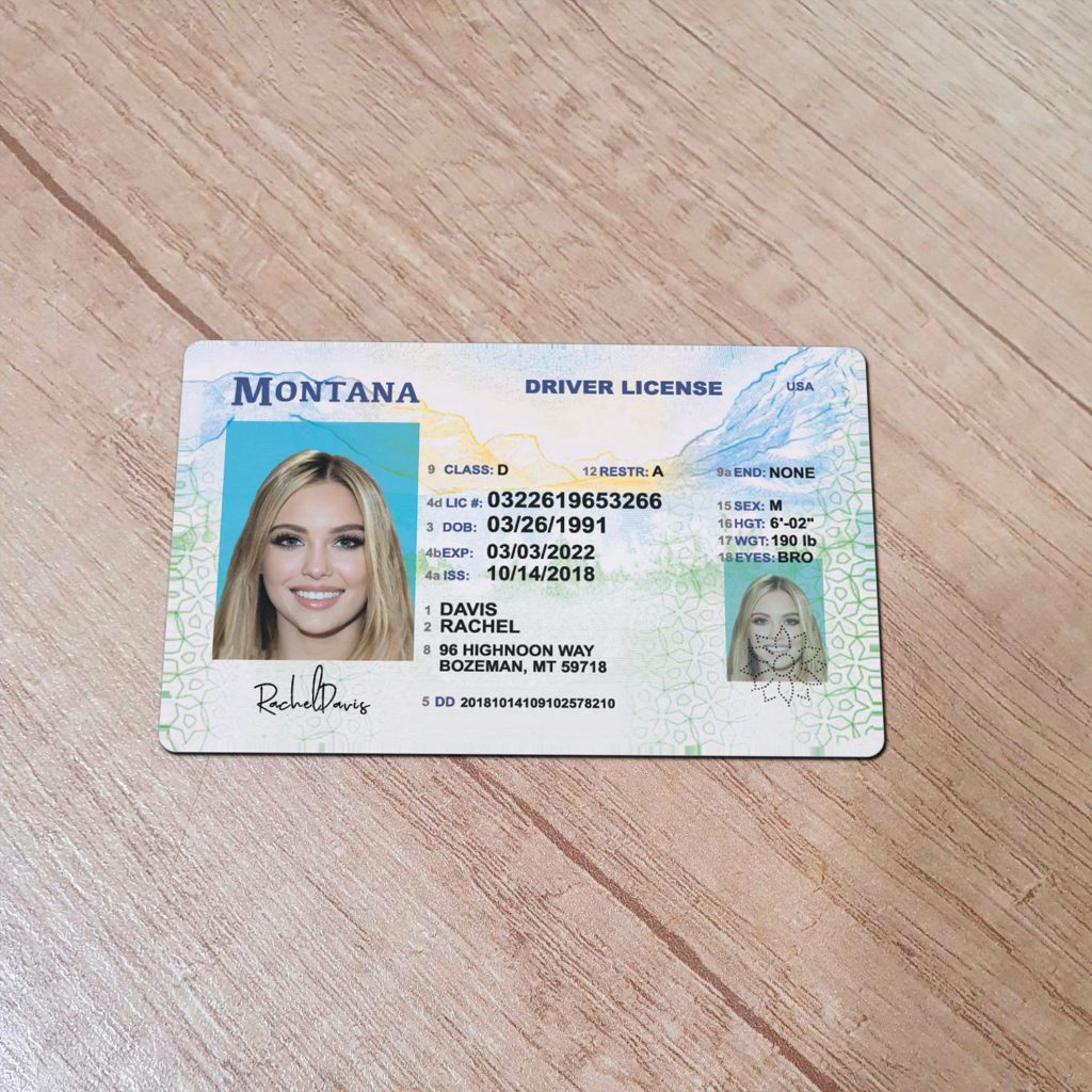Buy Montana Driver’s License