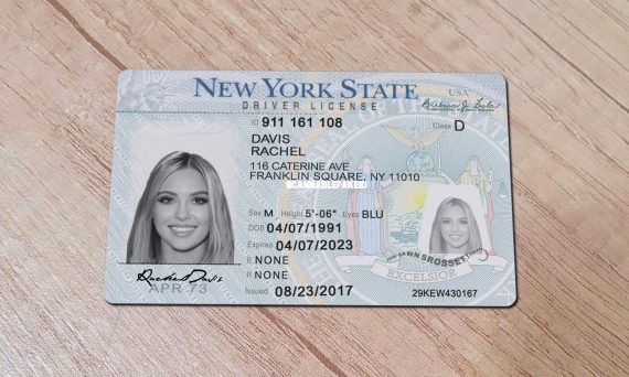 Buy New York Drivers License