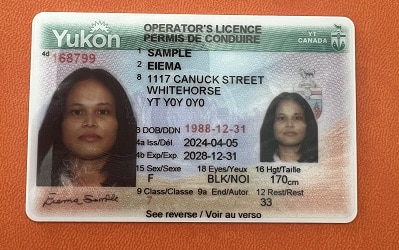 Buy Yukon Driver License