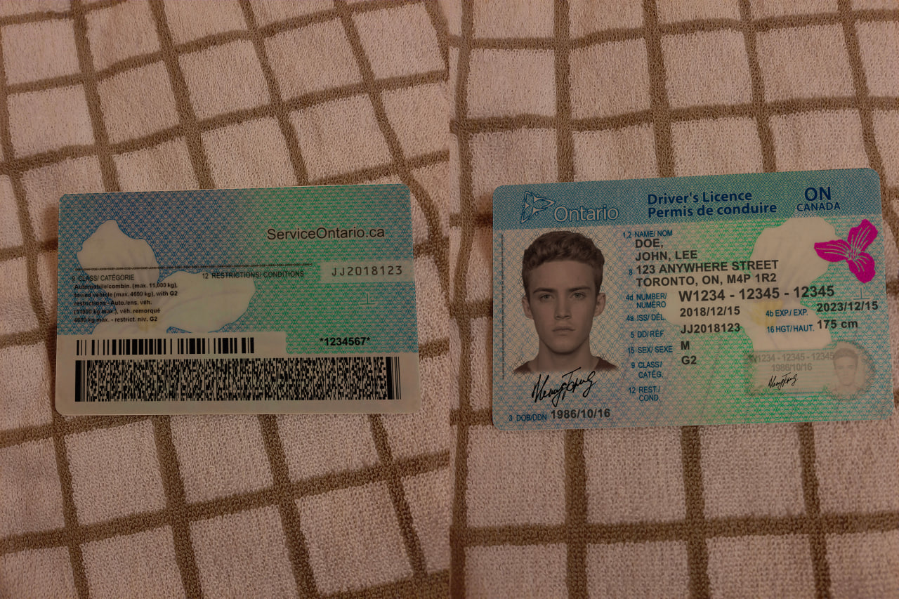 Buy Ontario Driver License