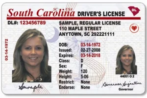  Buy South Carolina Driver’s license