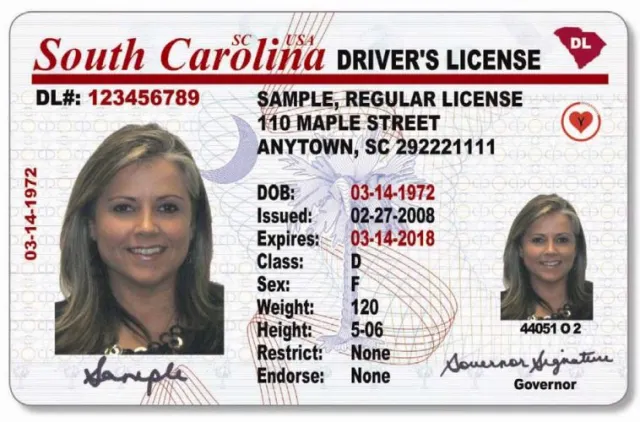  Buy South Carolina Driver’s license