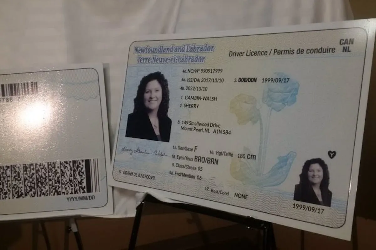 Buy Newfoundland and Labrador Driver License