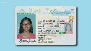 Buy Tennessee Driver’s License