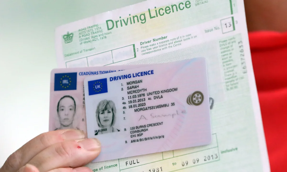 buy drivers licesnse