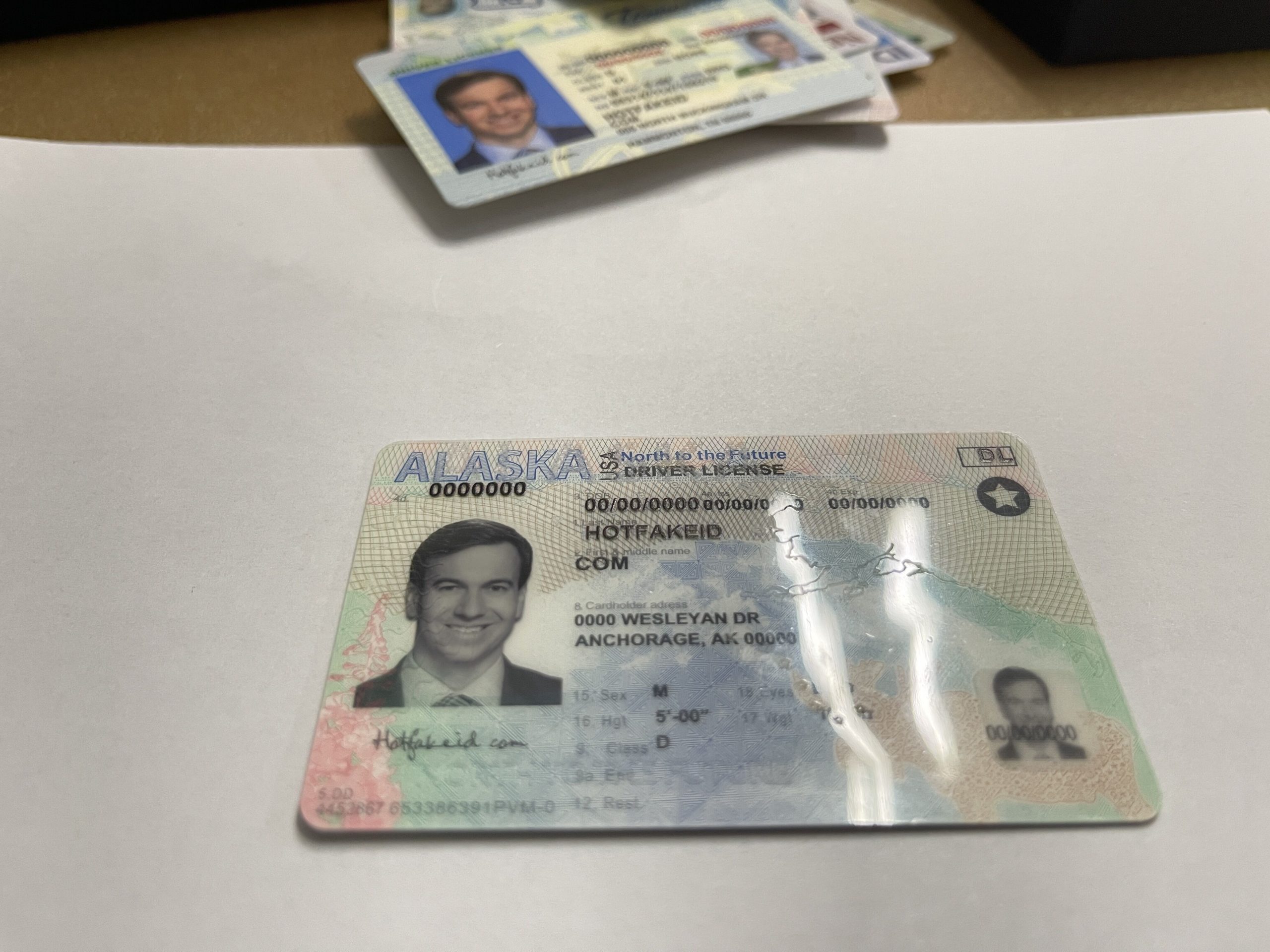 Alaska Drivers License