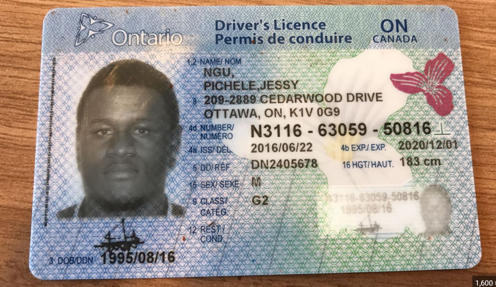 How to Get an Ontario Driver’s License