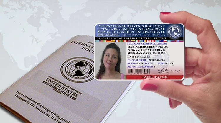 International Driver’s License USA: How to Get One for Travel